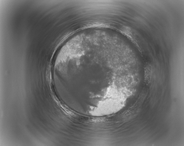 X0000067871274200605041758