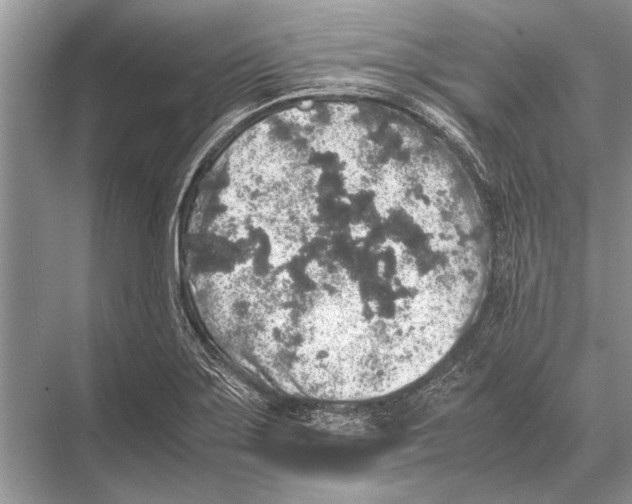 X0000067871275200605041758