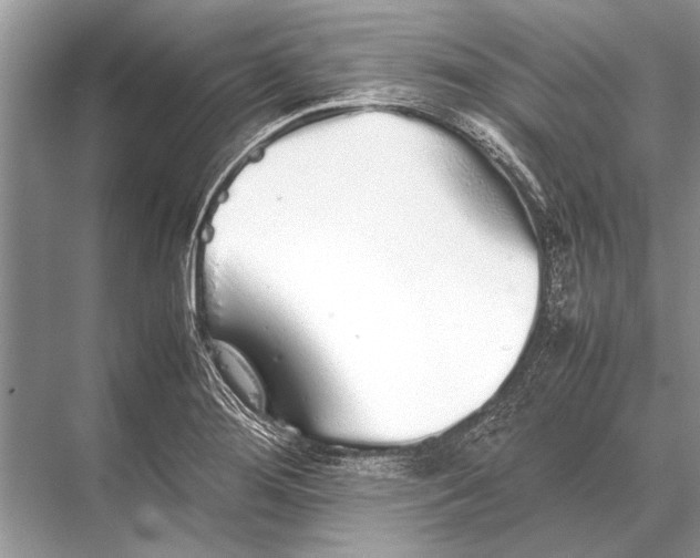 X0000067871276200605041758