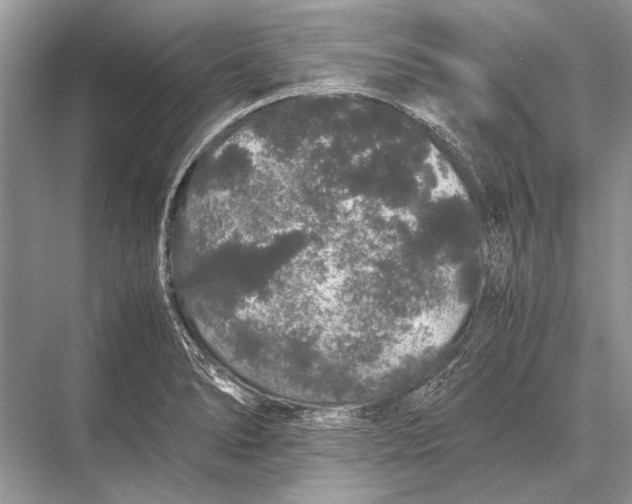 X0000067871278200605041757