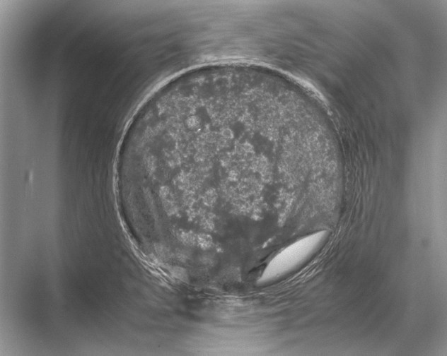 X0000067871279200605041757