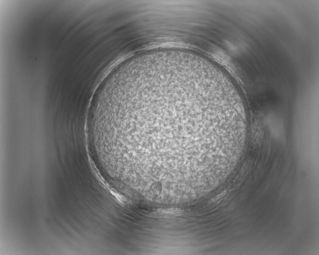 X0000067871282200605041757