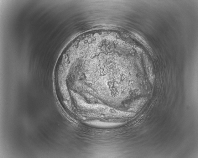 X0000067871283200605041757