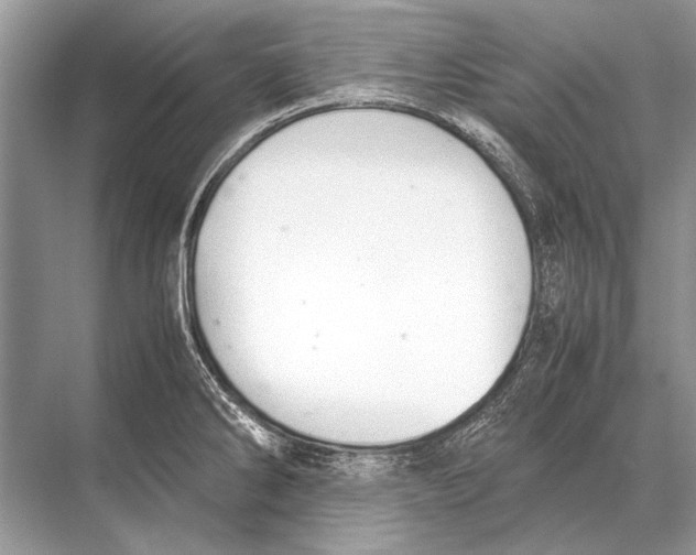 X0000067871286200605041757