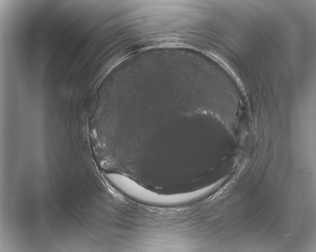 X0000067871289200605041757