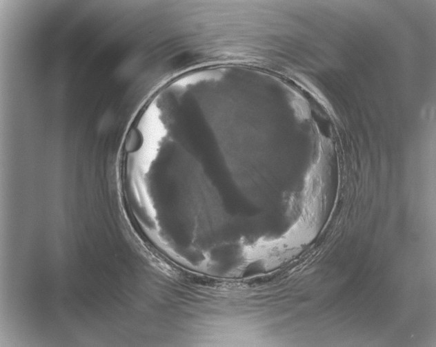 X0000067871291200605041757