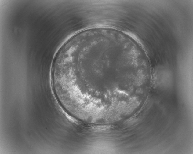 X0000067871294200605041757