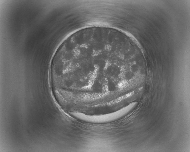 X0000067871295200605041757