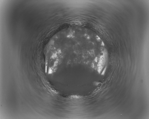 X0000067871297200605041756