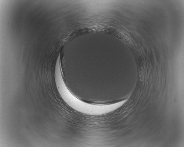 X0000067871298200605041756