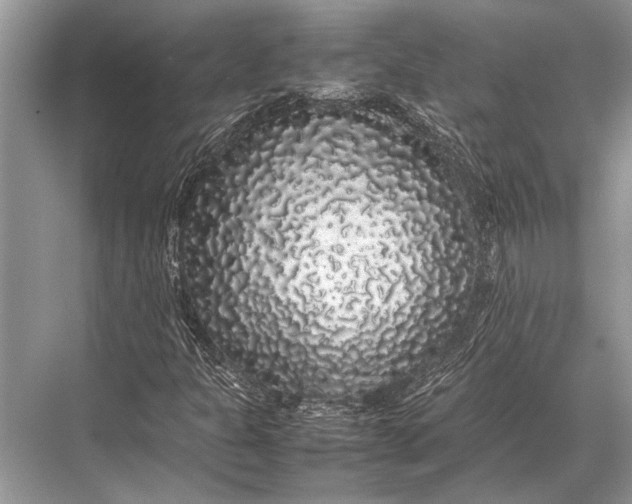 X0000067871301200605041756