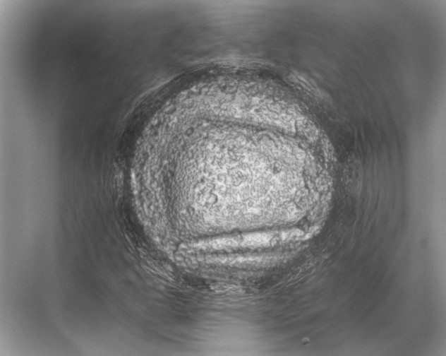 X0000067871302200605041756