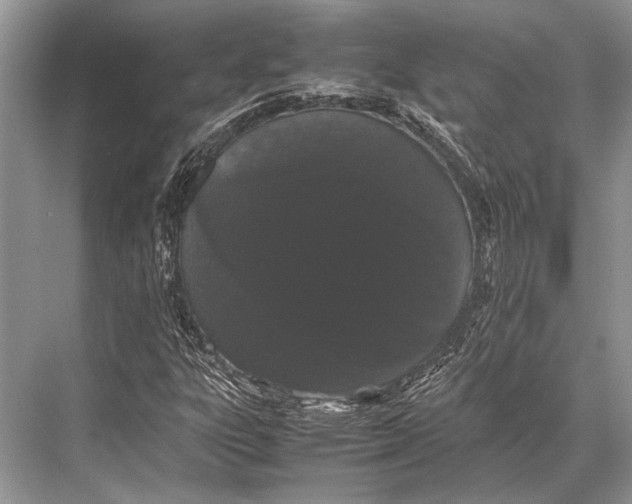 X0000067871303200605041756