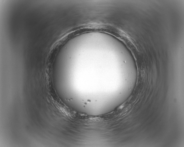 X0000067871304200605041757