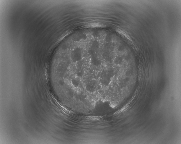 X0000067871305200605041757