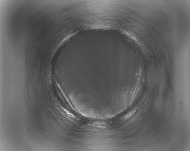 X0000067871306200605041757