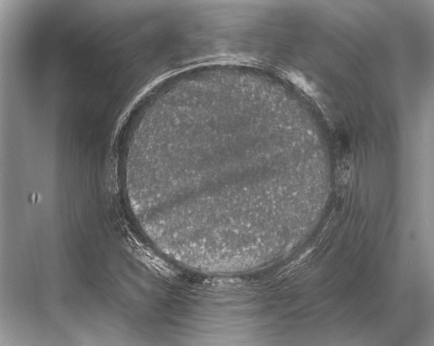 X0000067871310200605041757