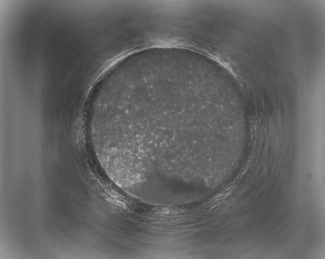 X0000067871311200605041757