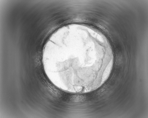 X0000067871314200605041757