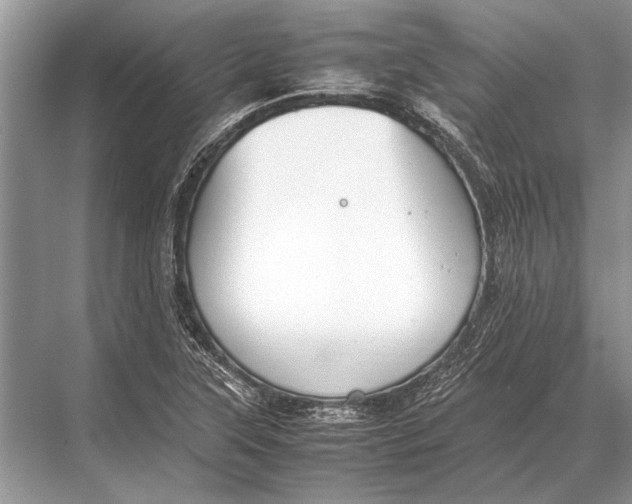 X0000067871315200605041757