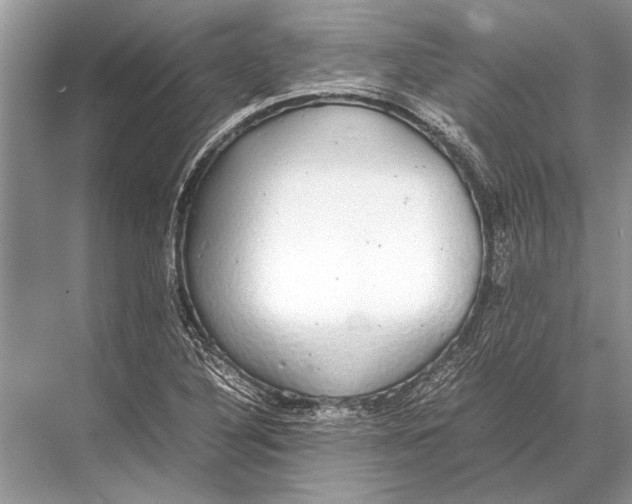 X0000067871316200605041757