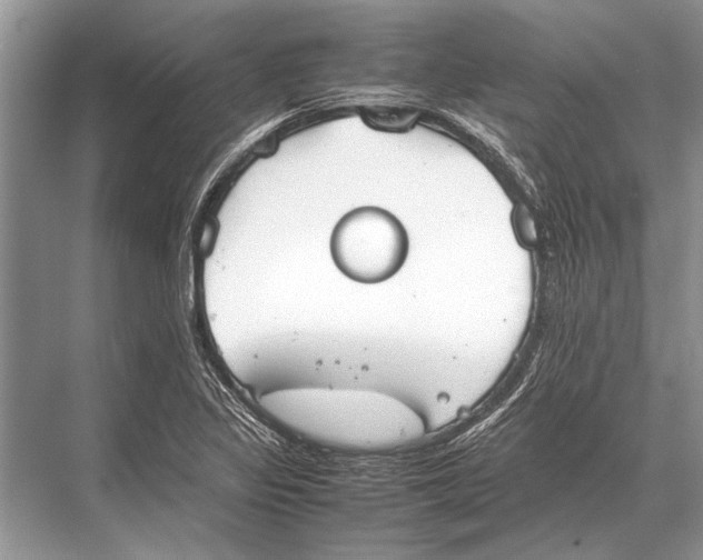 X0000067871317200605041757