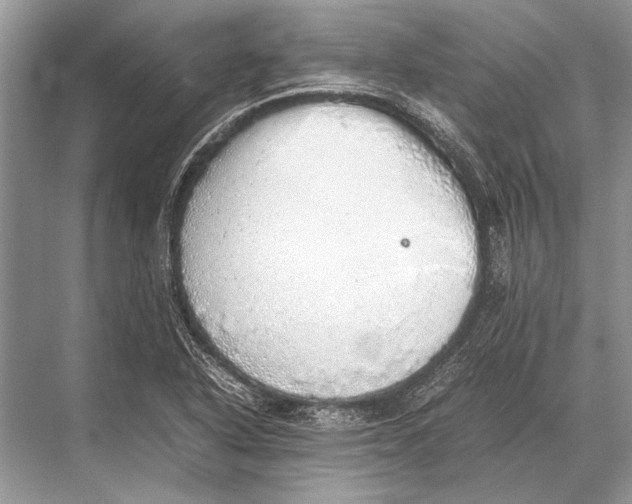 X0000067871318200605041757