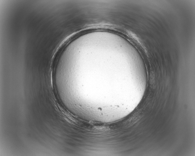 X0000067871320200605041757