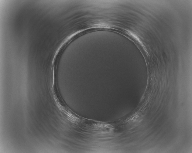 X0000067871323200605041757