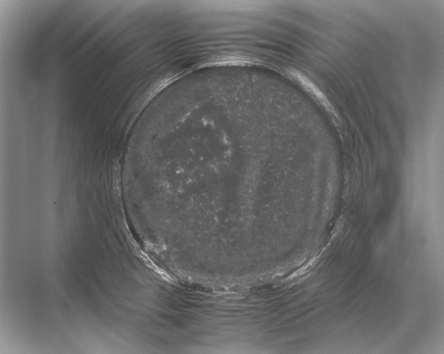 X0000067871329200605041757