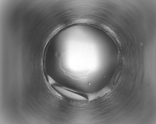 X0000067871330200605041757