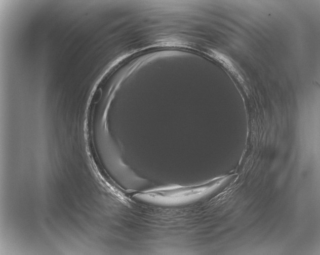 X0000067871331200605041757