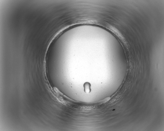 X0000067871332200605041757