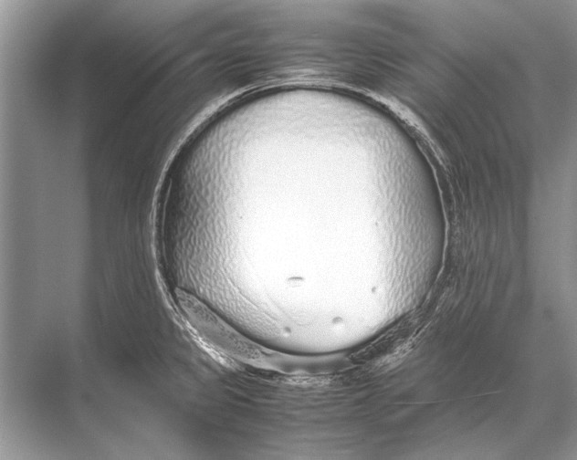 X0000067871333200605041757