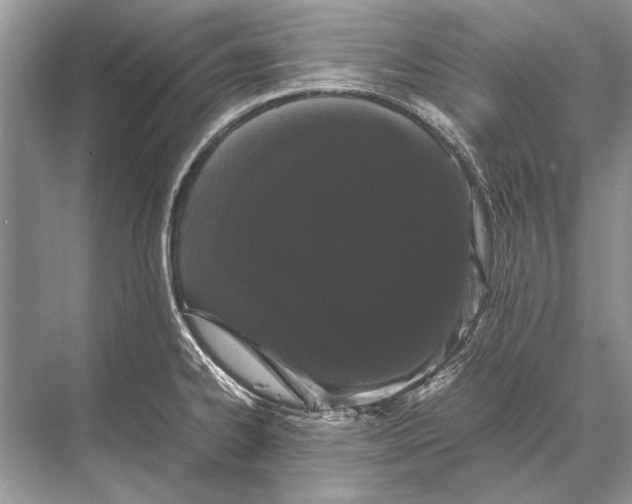 X0000067871334200605041757