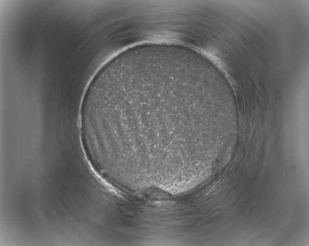 X0000067871335200605041757