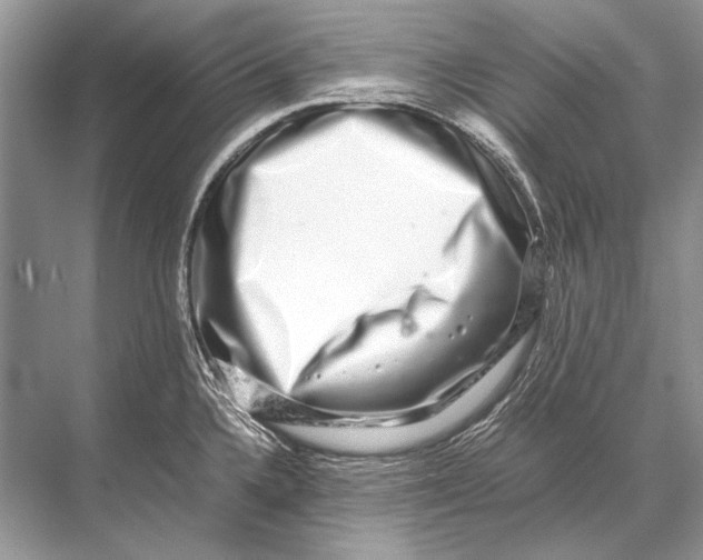 X0000067871336200605041757