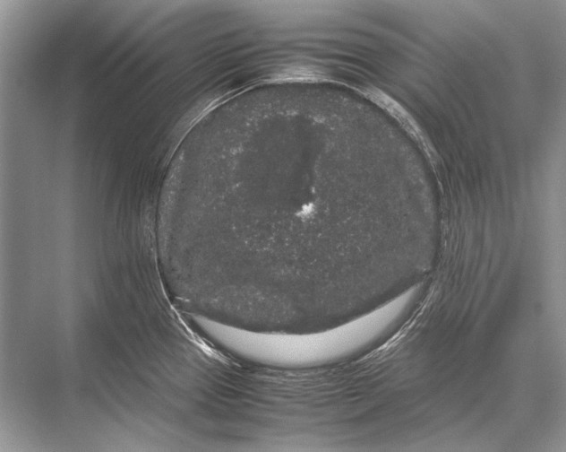 X0000067871337200605041757