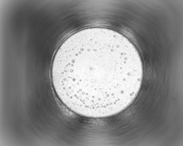 X0000067871338200605041757