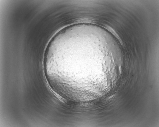 X0000067871339200605041757