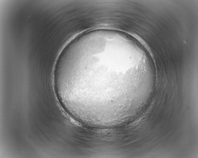 X0000067871341200605041757