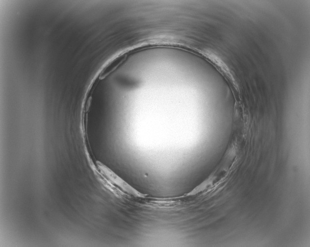 X0000067871342200605041757