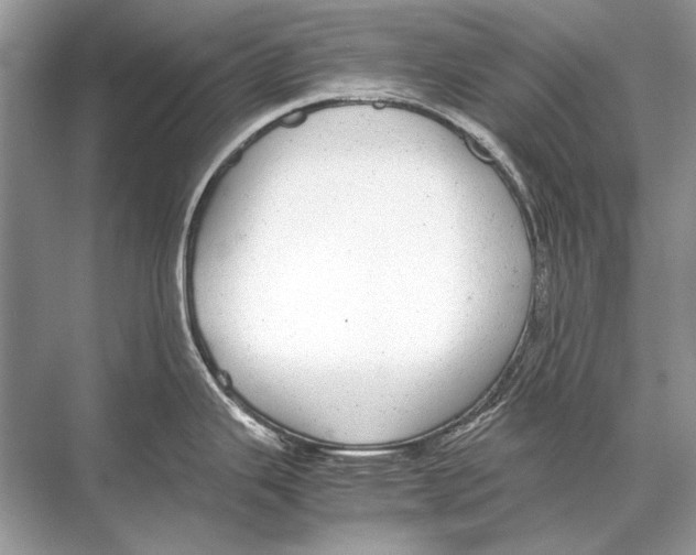 X0000067871343200605041757