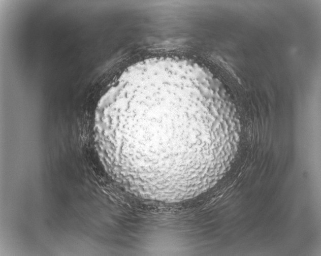 X0000067871350200605041756