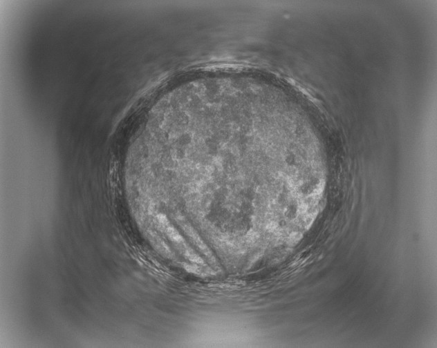 X0000067871351200605041756