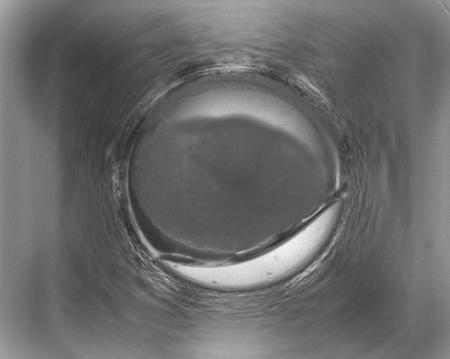 X0000067871353200605041756