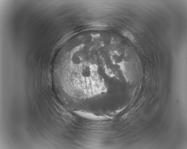 X0000067871354200605041756