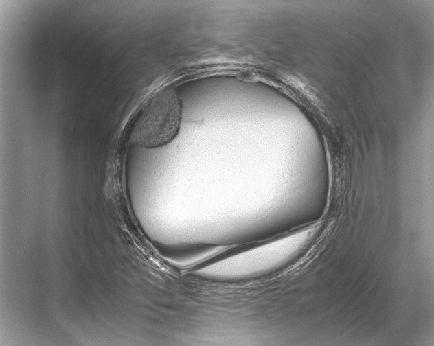 X0000067871357200605041756