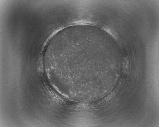 X0000067871358200605041756