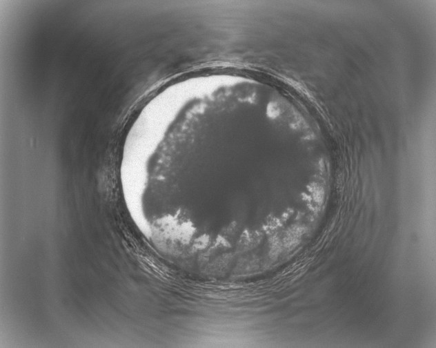 X0000067871359200605041756